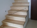 P1050037.jpg